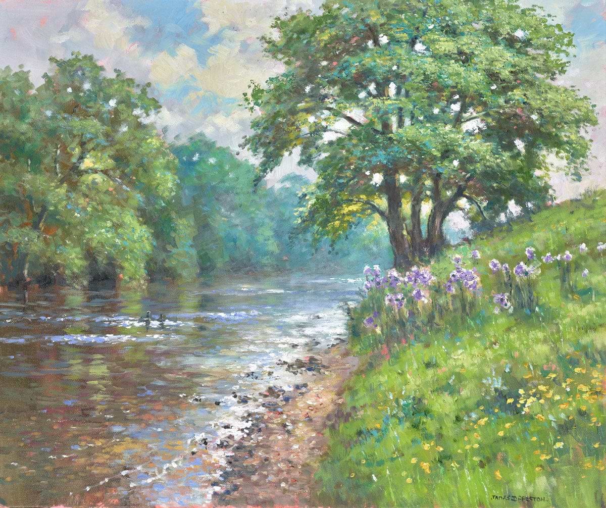 River Derwent (thistles)