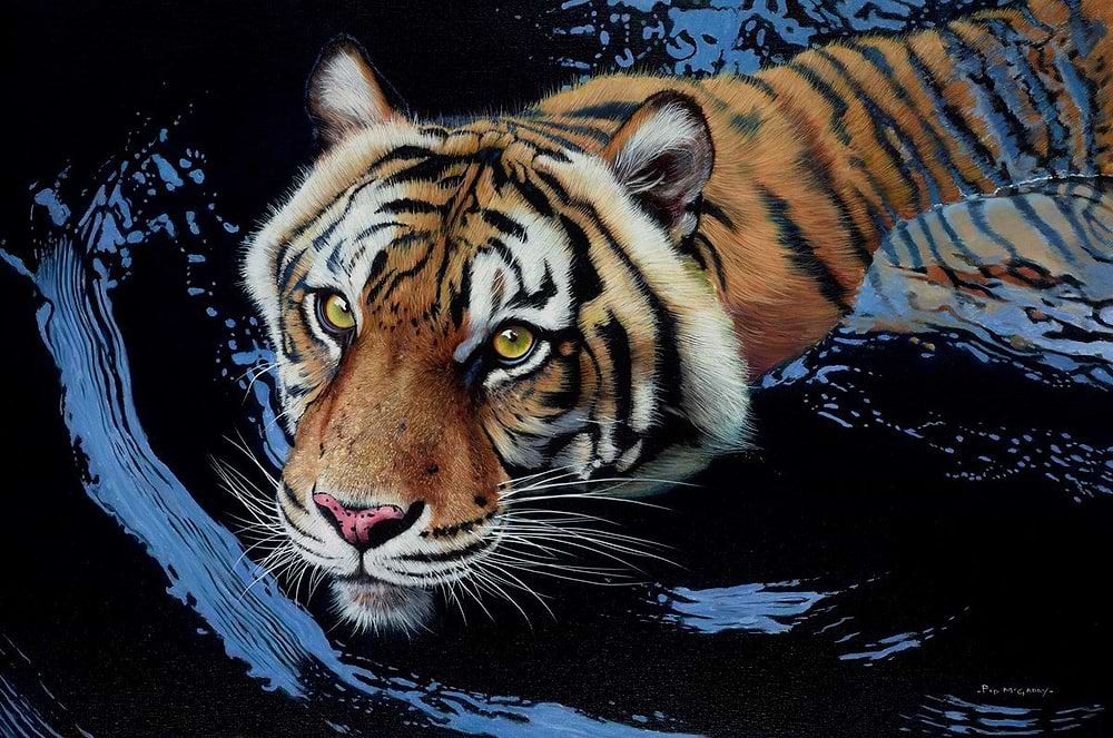 Tiger Trouble
