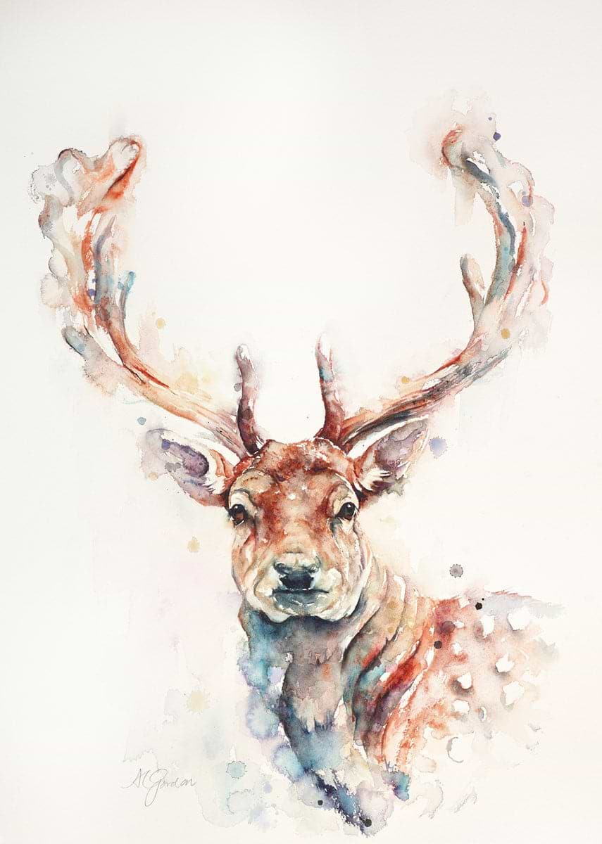 Portrait of a Fallow Stag