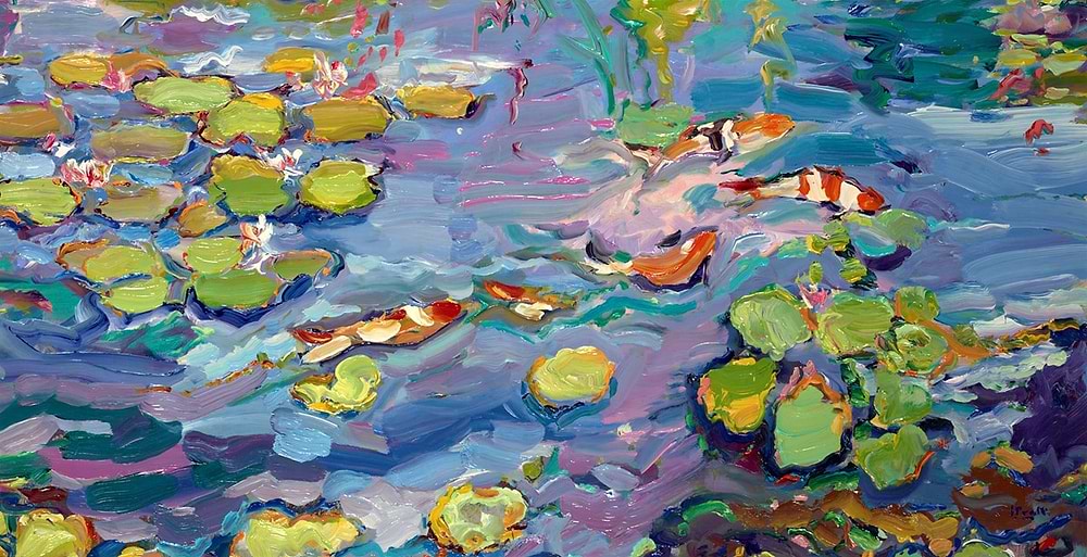 Jeffrey's Koi Carp