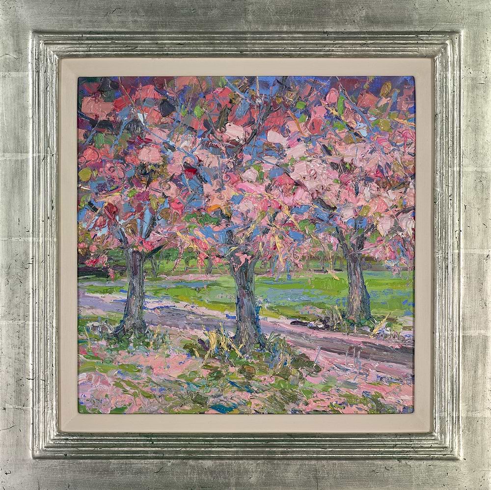 Fallen Cherry Blossom