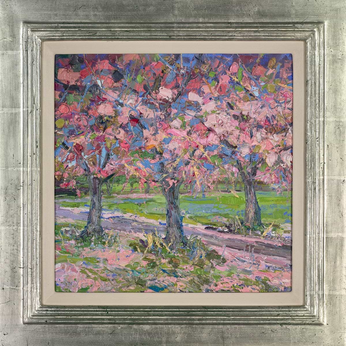 Fallen Cherry Blossom