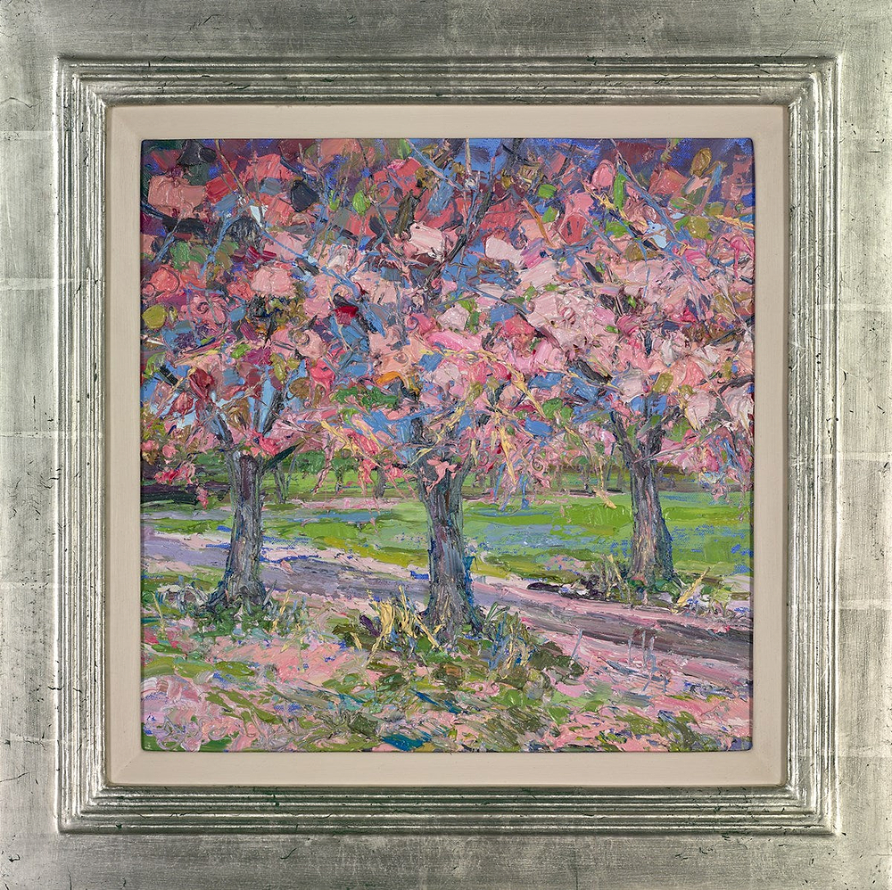 Fallen Cherry Blossom