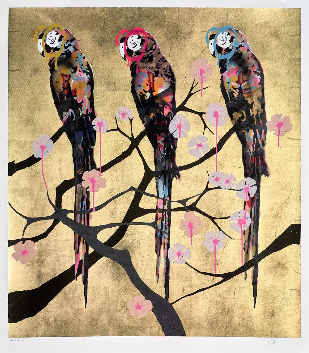 Polly Folly 22/25