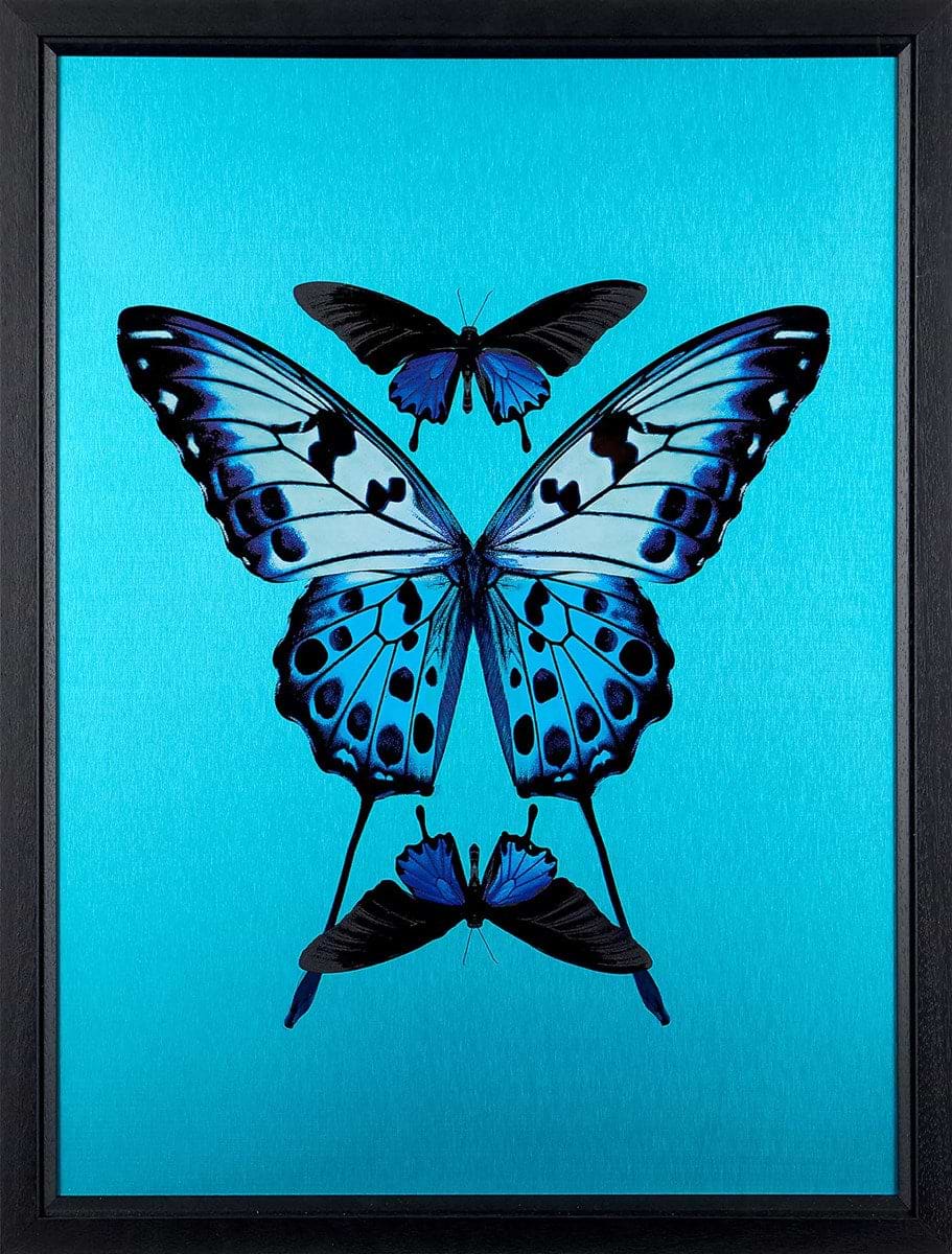 Transcend (Framed)