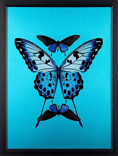 Transcend (Framed)