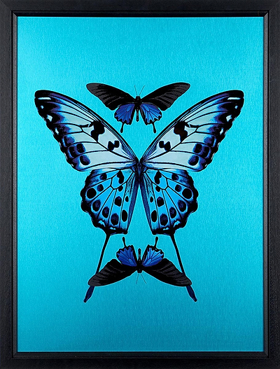Transcend (Framed)