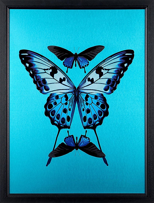 Transcend (Framed)