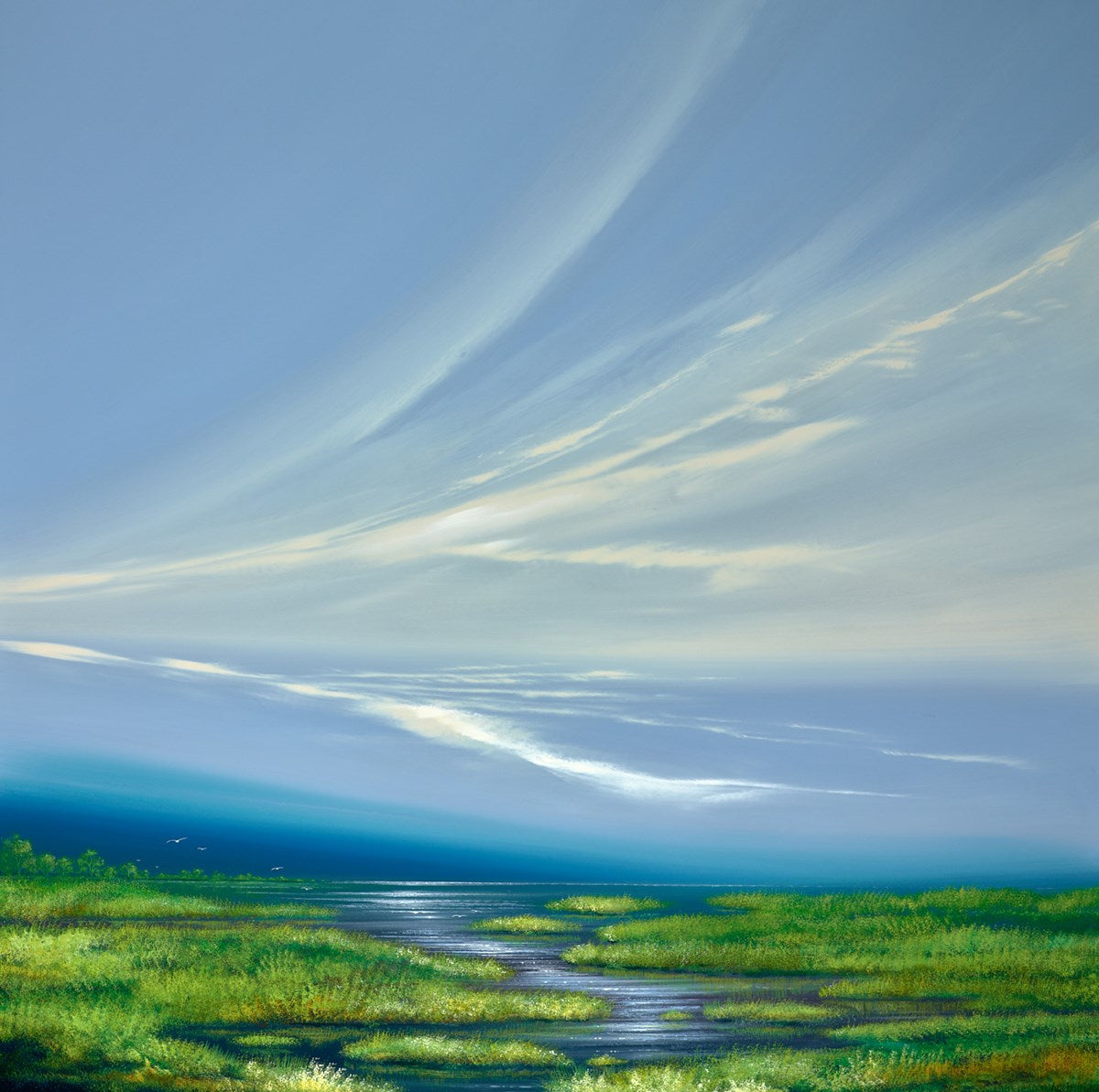 Colourful Wetland