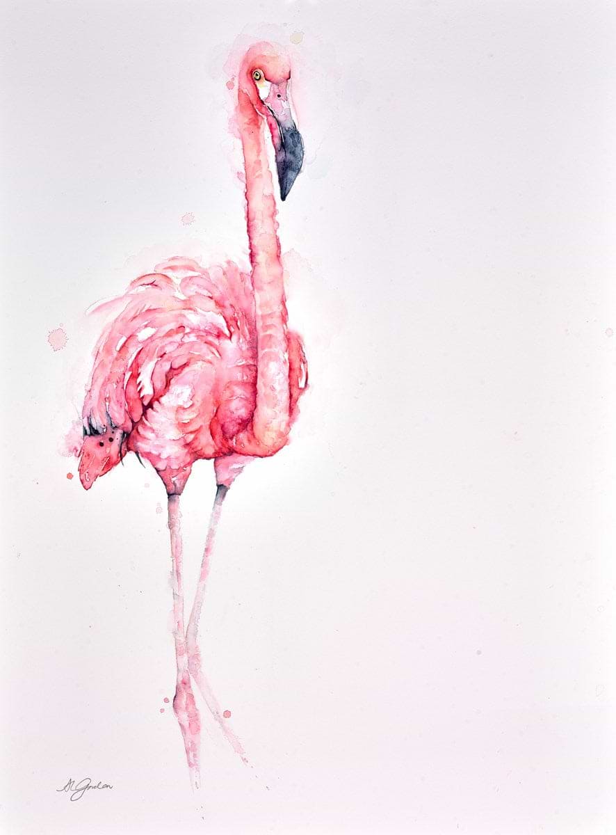Flamingo Solo