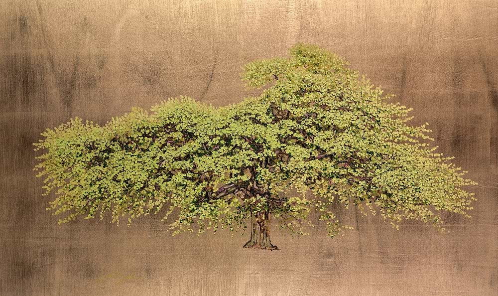 Wych Elm
