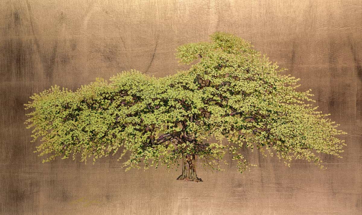 Wych Elm