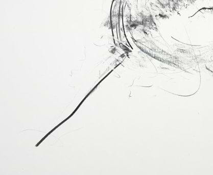 Apex Study II (Detail2)