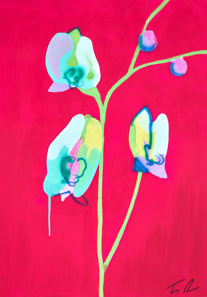 Orchid red/green
