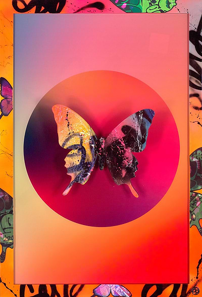 Colourful Butterfly II