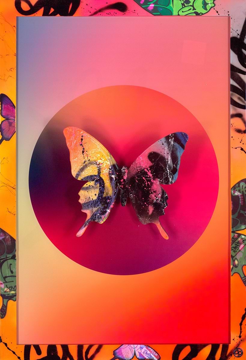 Colourful Butterfly II