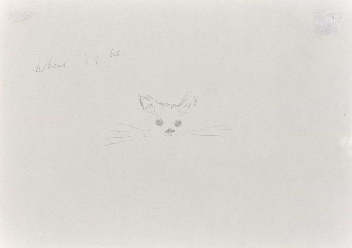 Docket the Cat (Monotype)