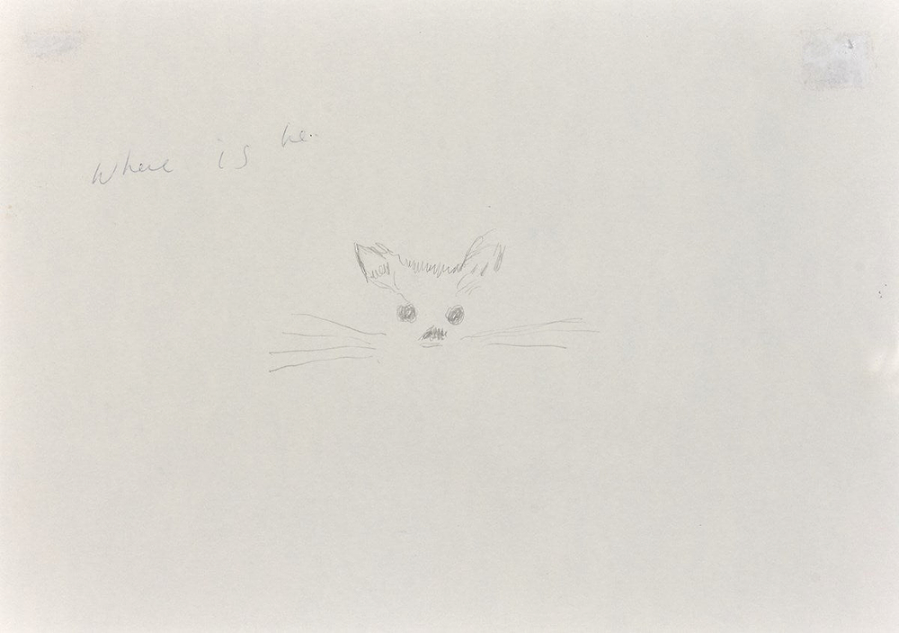 Docket the Cat (Monotype)
