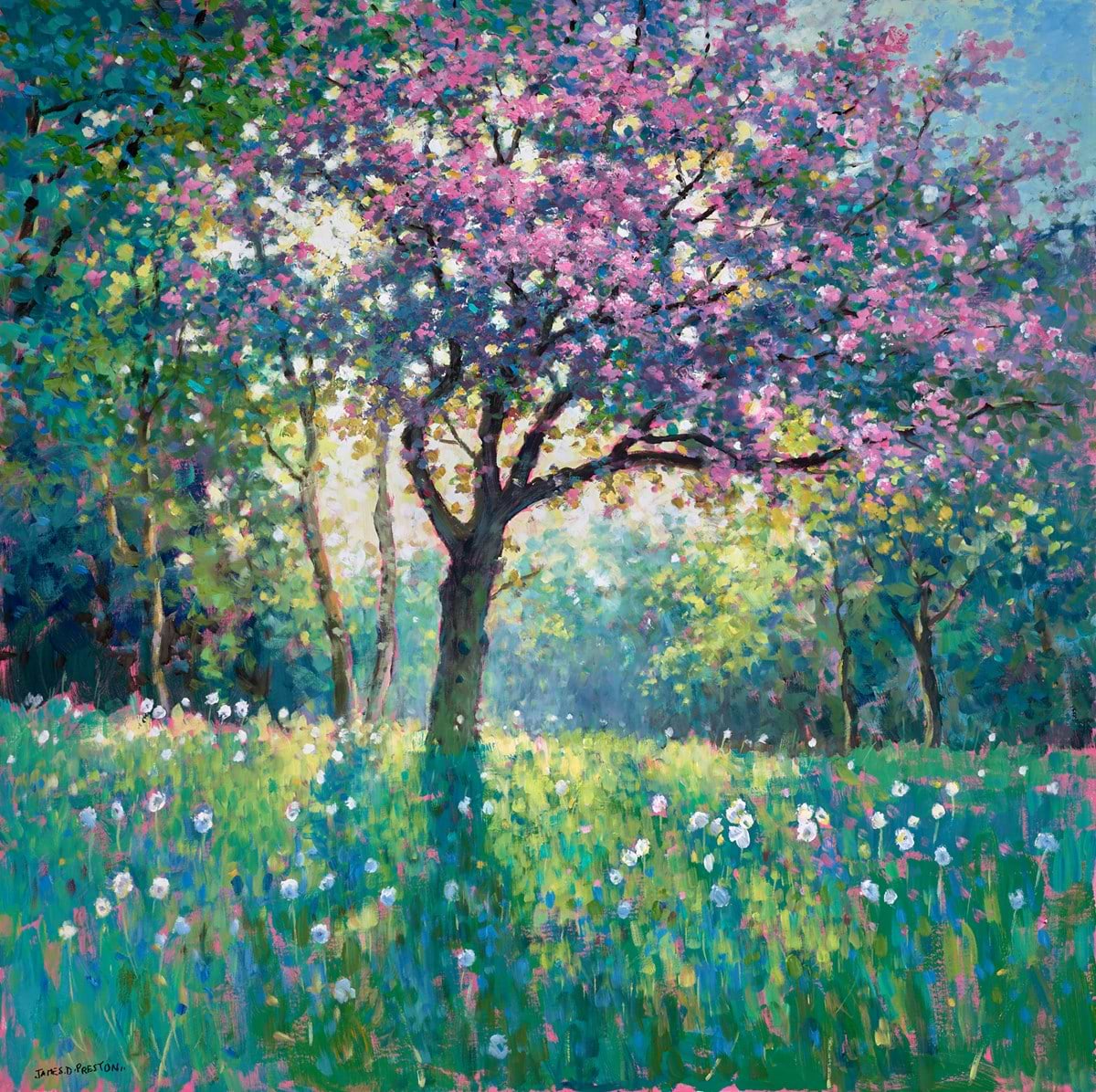 Cherry Blossom