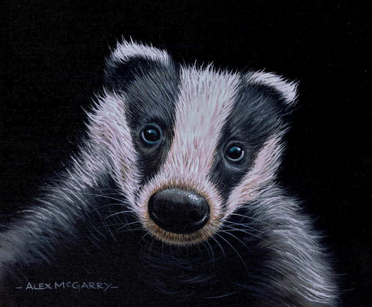 Badger IV