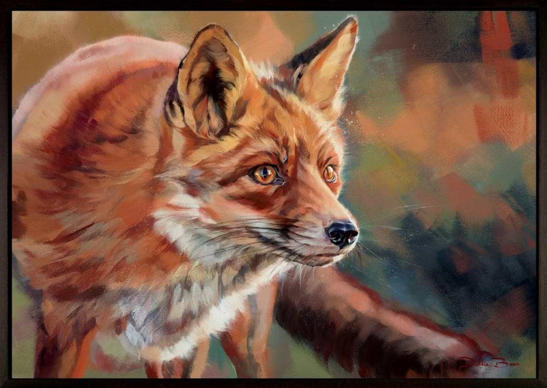 Amber Fox II (Framed)