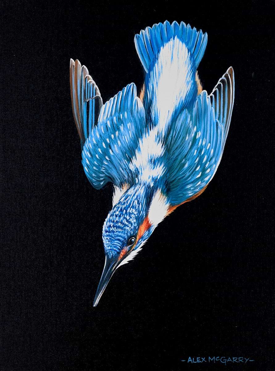 Kingfisher in Flight III