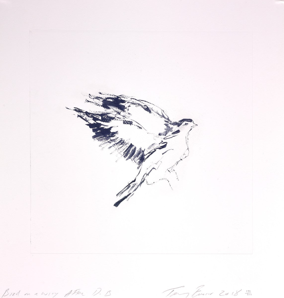Bird On A Wing After DB
