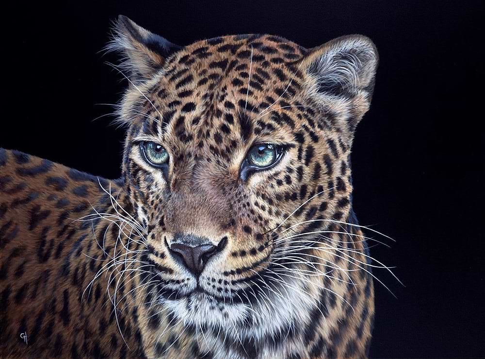 Intensity