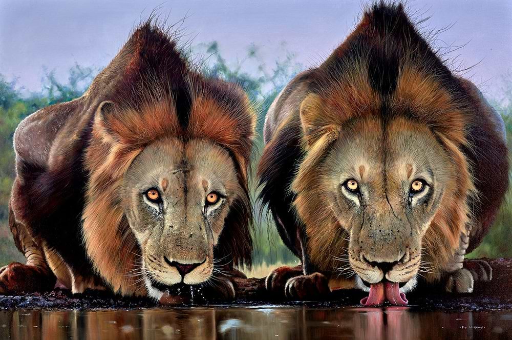 The Lion's Share