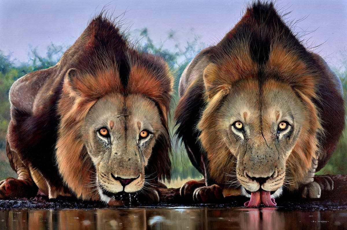 The Lion's Share