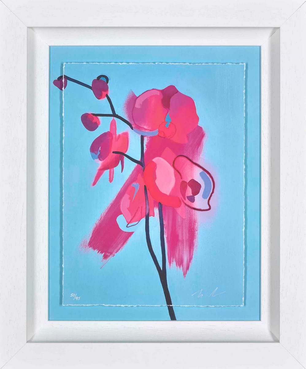 Enchant (Framed)
