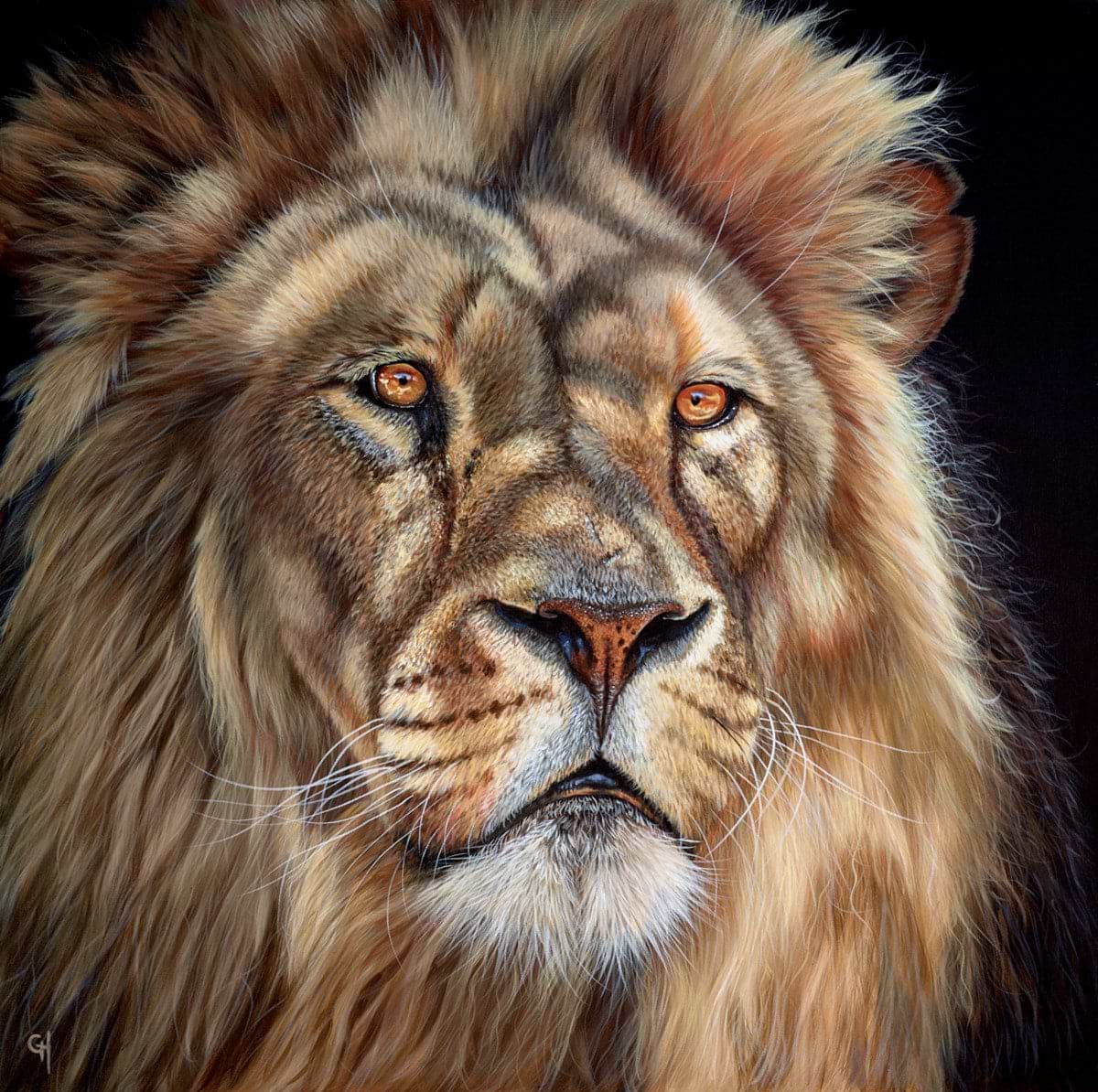 King of the Jungle V