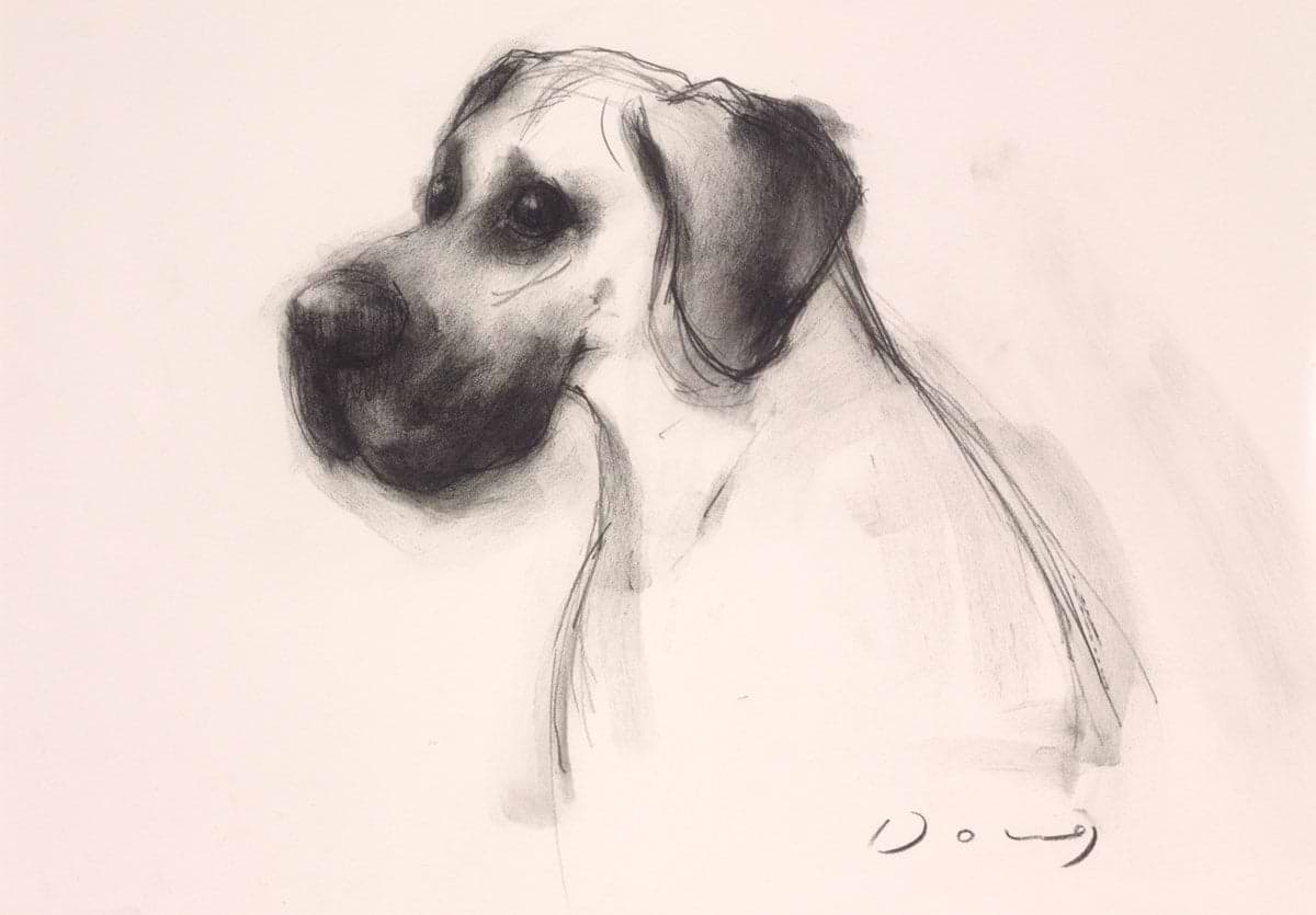 The Great Dane