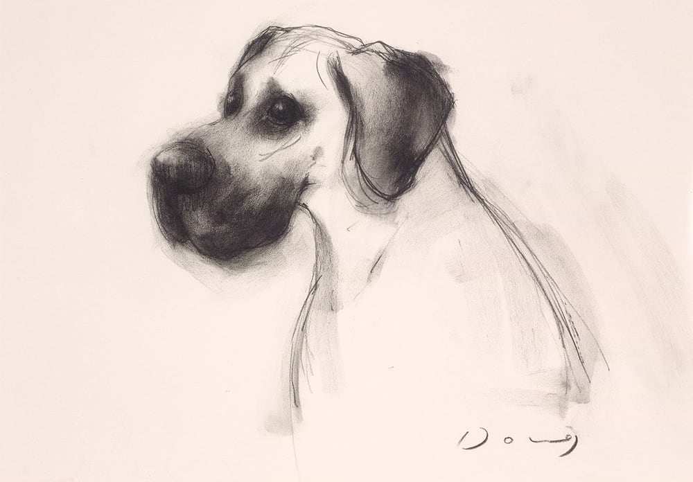 The Great Dane