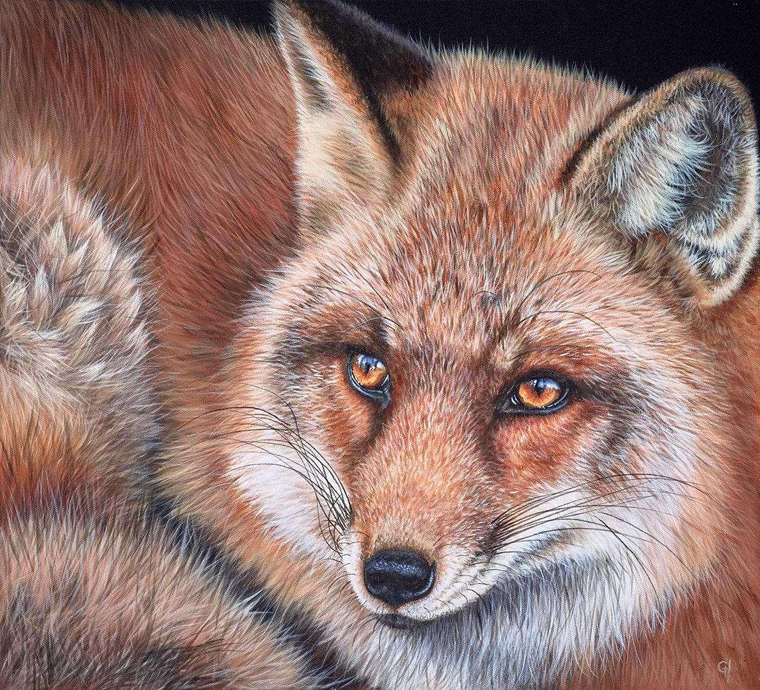 Watching Fox
