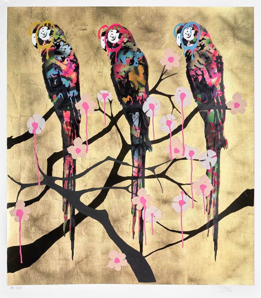 Polly Folly 16/25