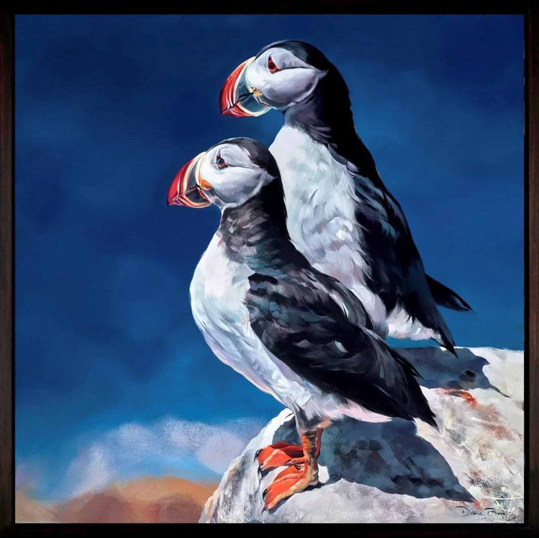 Puffin Pair (Framed)