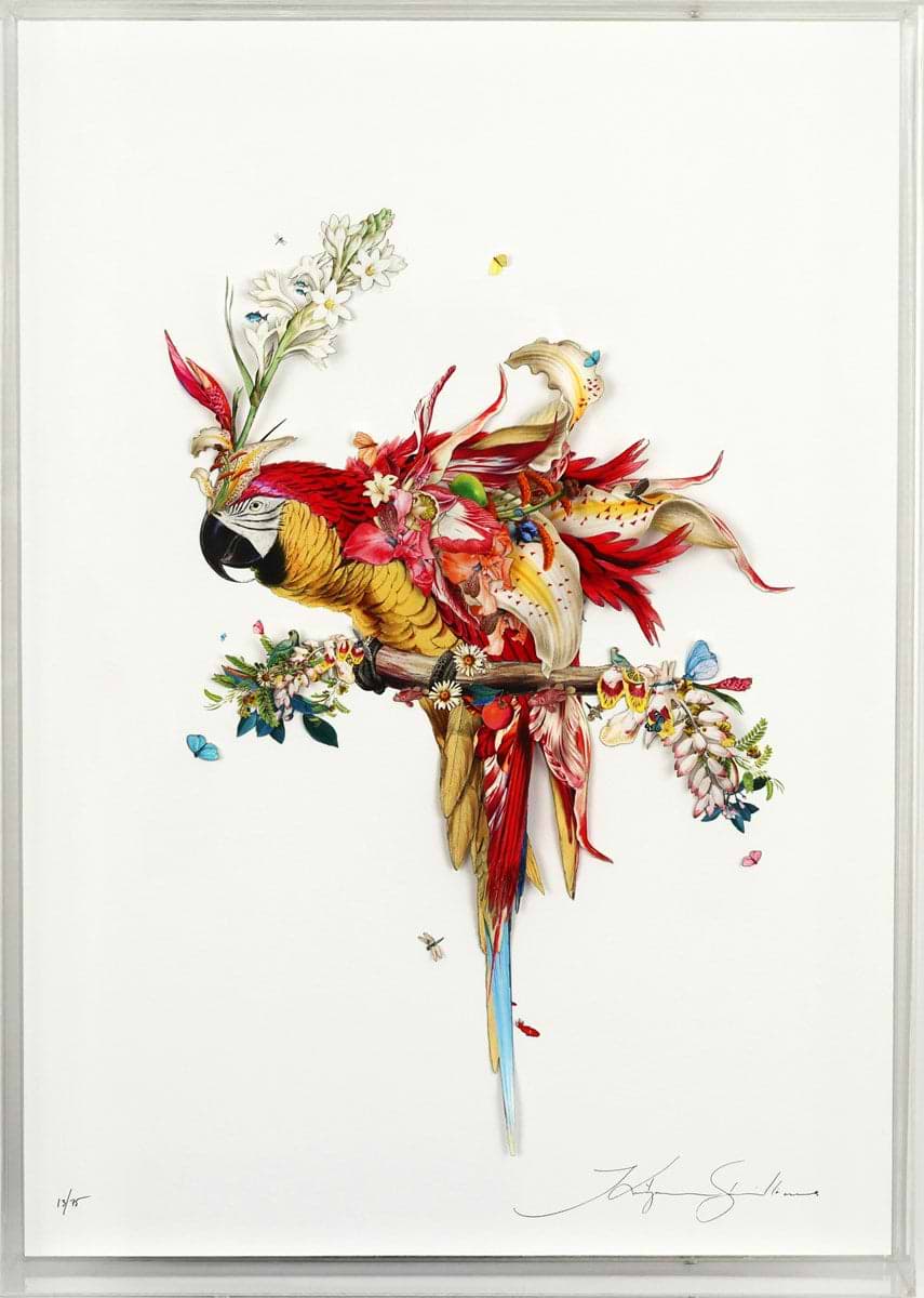Botanical Harry Gin Bird II (Framed)