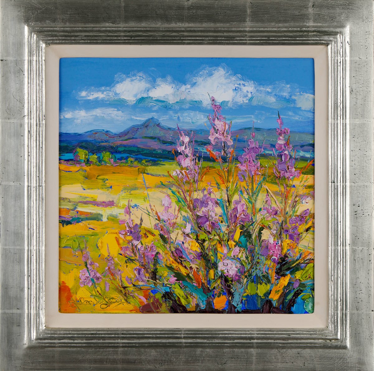 Ben Lomond through Rosebay Willowherb