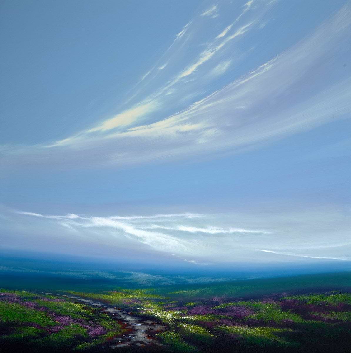 Moorland and Blue Sky