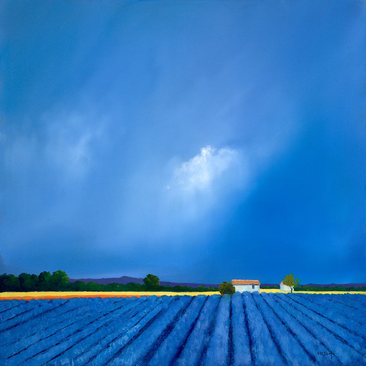 Bristling Orderly Rows