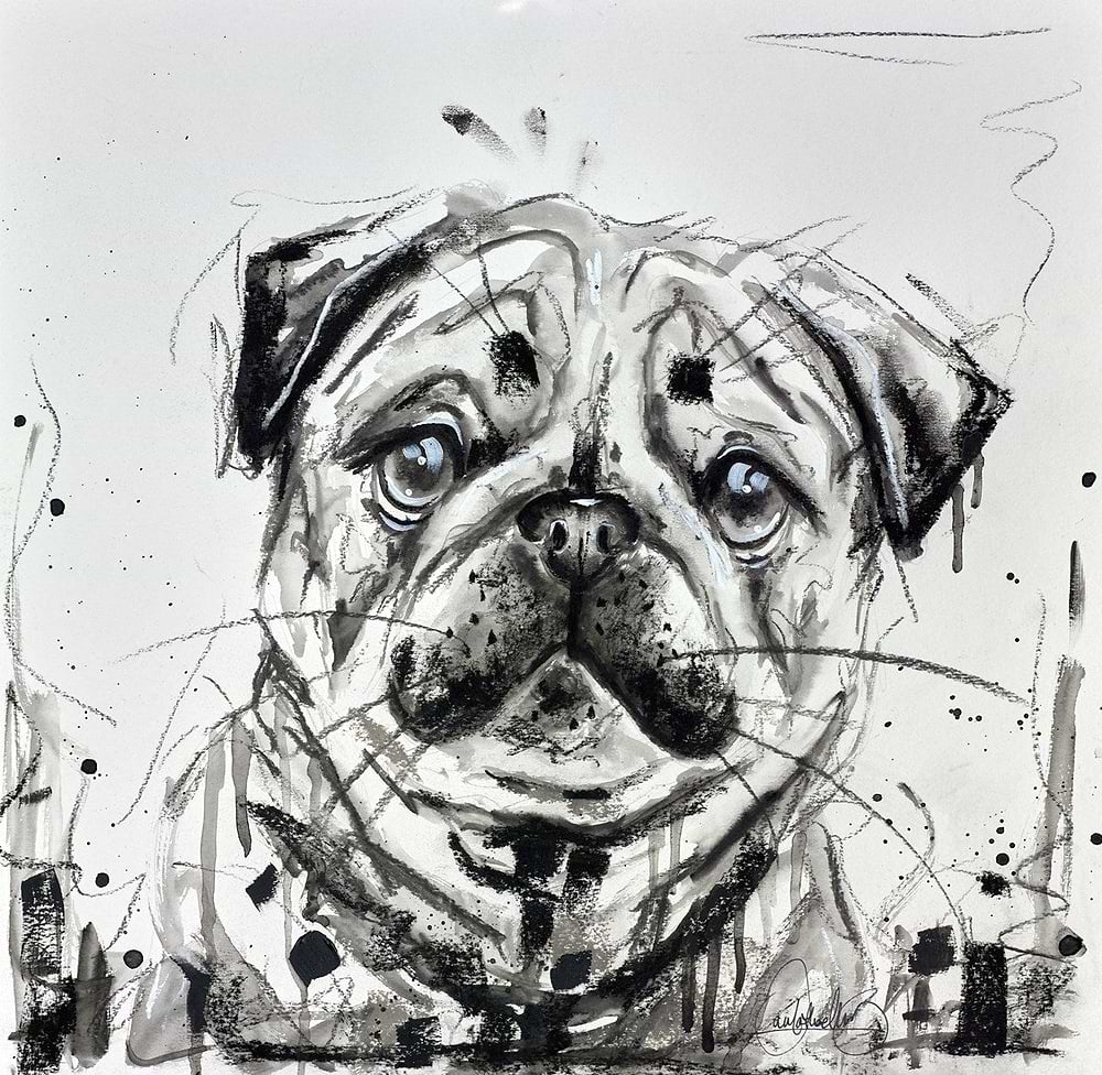 Pug