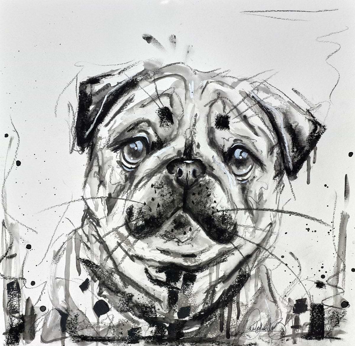 Pug