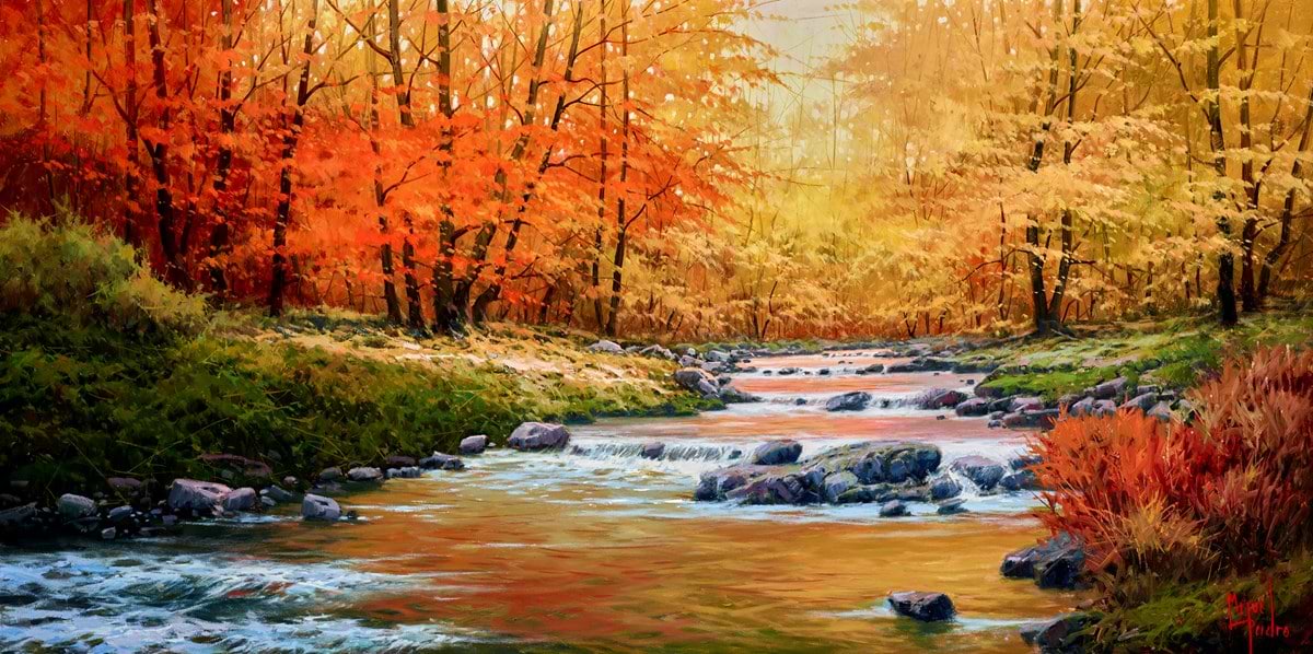 Rio Saja