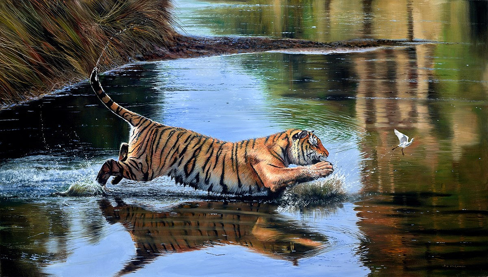 Tiger Dreams