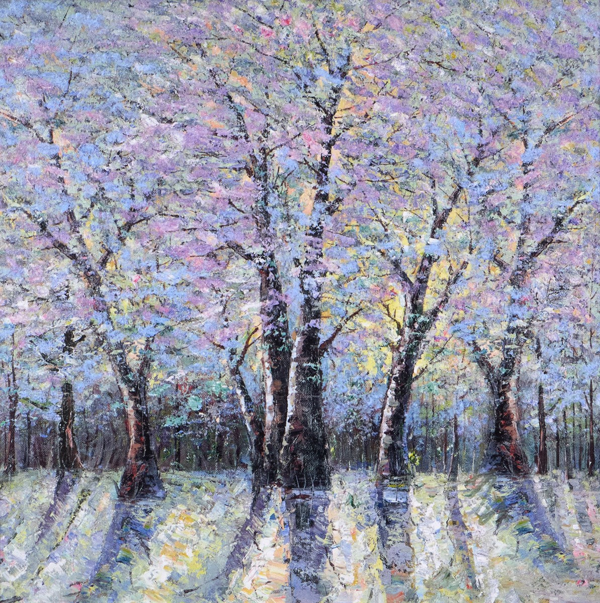 Awakening Light I