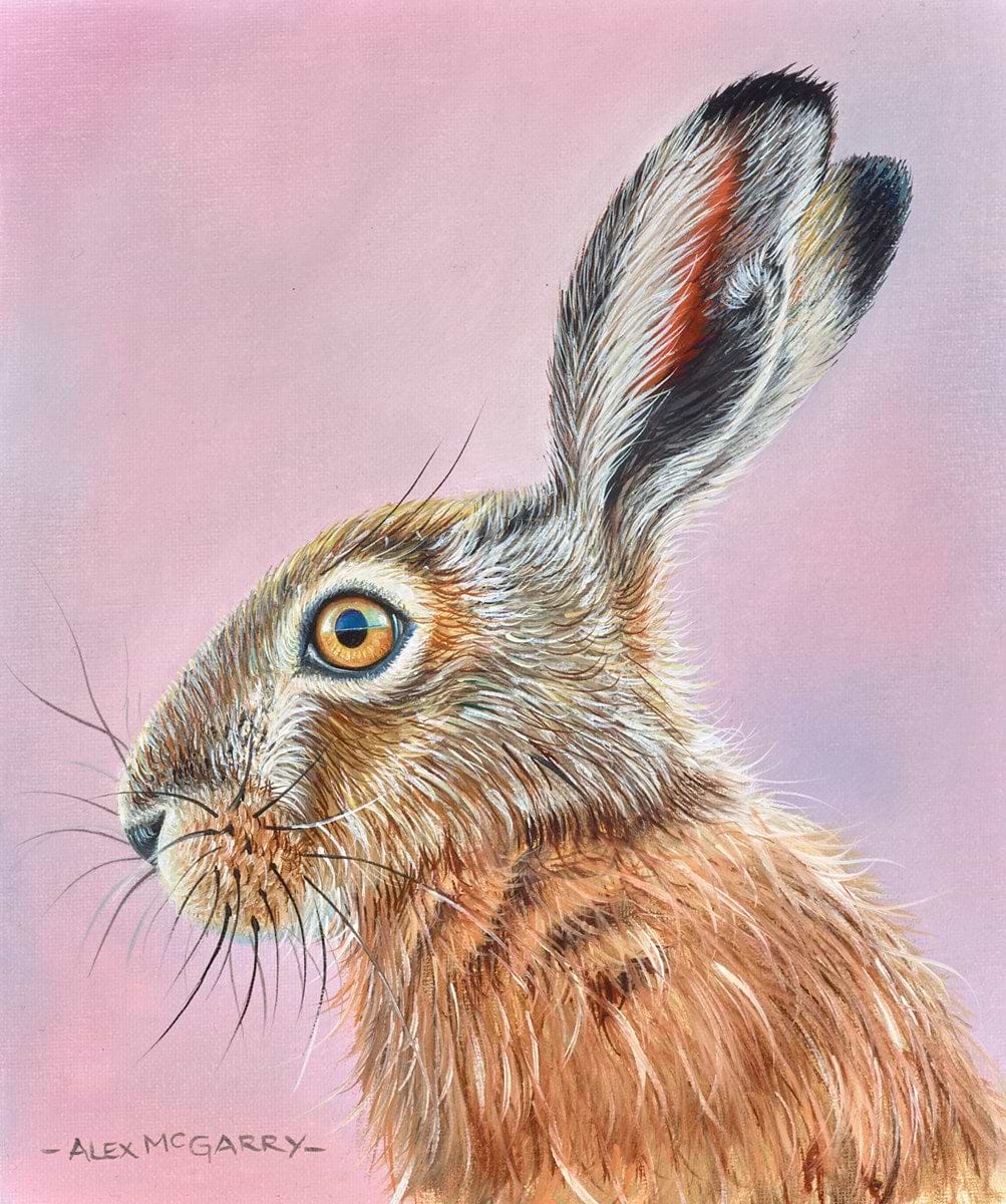 Hare VI