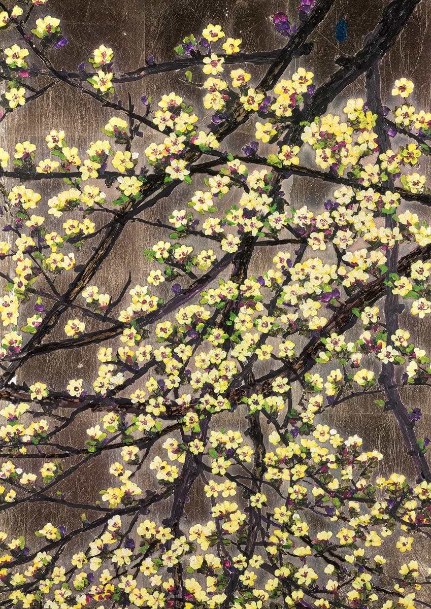 Botanical Studies III