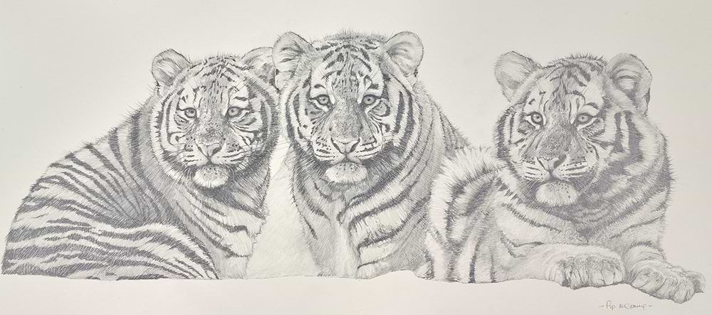 The Tiger Trio