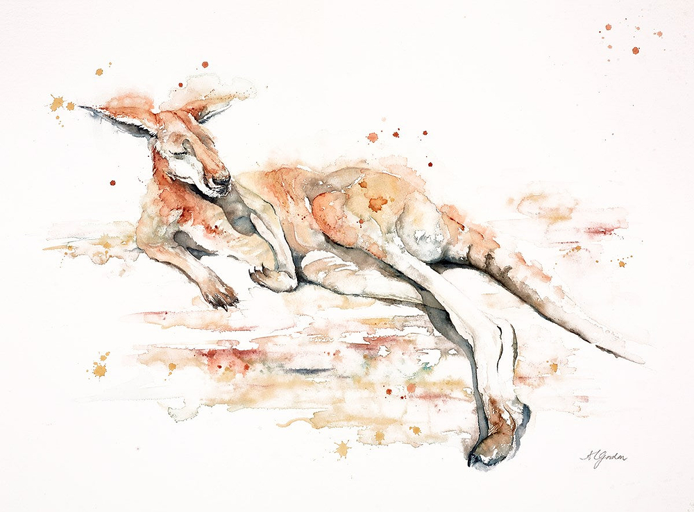 Sunbathing Kangaroo